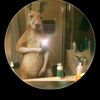 yohanderson.rodrg