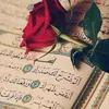user4093261544081