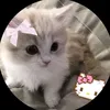 mihana097