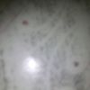 hamaderbali790