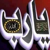 user29444461247698