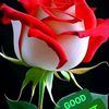 user8670685415299
