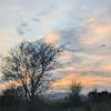 hallie_jane14