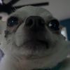 Automation_Acc