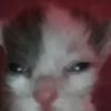 goofygamer106yt