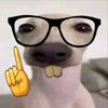 poqokmmwooo