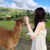 ㅤ۫ㅤ᳗ ૮ɦαเ  ୨୧🌲ꕀ