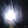 sofiaxsdg