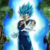 vegitoxd_1234