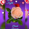 user1519601350710
