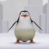 canhcutchoipetgo