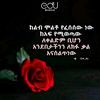 muhammad.saleem2585
