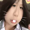 yihengchan4