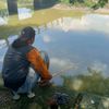 budisntttt