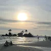www.tiktok.comfeng0