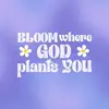 shak_inah
