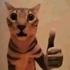 kamonlak_qxx