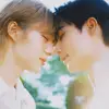 zn_nea
