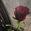 mes3_22