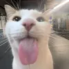 oonamanahimikkana