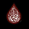 _313_zah