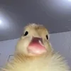berryincappuccino