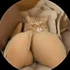 abjxgyscsjb