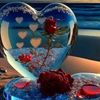 .jamiyat