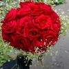 user48160031782