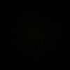 m.f.v_05