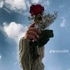 ahmed.al.nadir