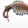 anomalocarisma