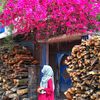 urmi.akter8497