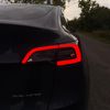 future_b6