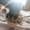 elliecrixg0