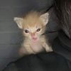 luna.keeps.gettin6