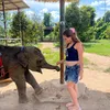 amy_damsky