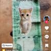 reyad.ahmed65
