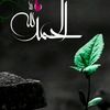 muhammad.shafiq.c3