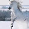 user1481081841808