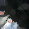 beno_0410