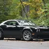 mamedov_777777