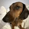 caroolayrdrzz