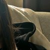 itza.dejesus