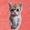 Gato Didático