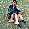 noorzaib63