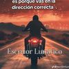 lucas.fernandez572