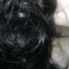 shxyki.zer0