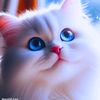 aneesrehman332