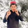 alam.sher818